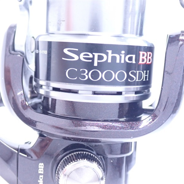 １０セフィアＢＢＣ３０００ＳＤＨ